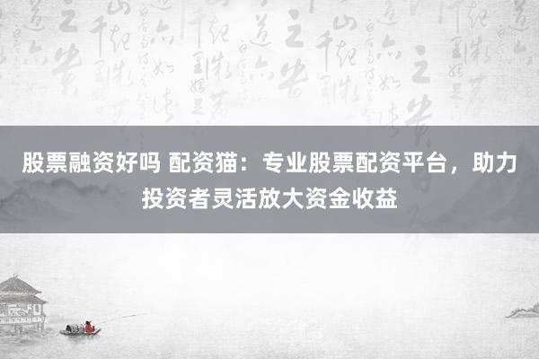 股票融资好吗 配资猫：专业股票配资平台，助力投资者灵活放大资金收益