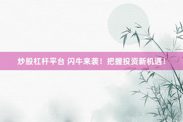 炒股杠杆平台 闪牛来袭！把握投资新机遇！