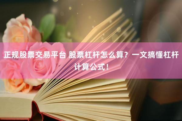 正规股票交易平台 股票杠杆怎么算？一文搞懂杠杆计算公式！