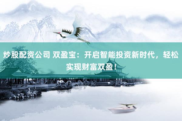 炒股配资公司 双盈宝：开启智能投资新时代，轻松实现财富双盈！