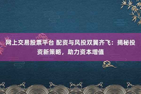 网上交易股票平台 配资与风投双翼齐飞：揭秘投资新策略，助力资本增值