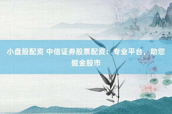 小盘股配资 中信证券股票配资：专业平台，助您掘金股市