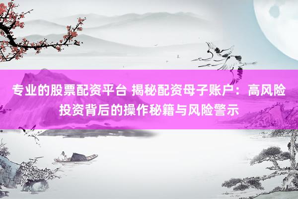 专业的股票配资平台 揭秘配资母子账户：高风险投资背后的操作秘籍与风险警示