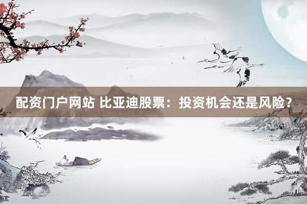 配资门户网站 比亚迪股票：投资机会还是风险？