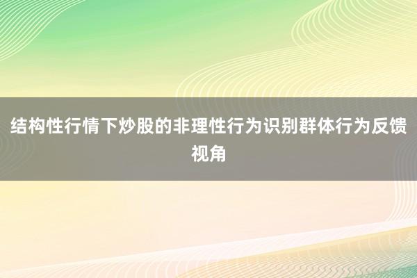 结构性行情下炒股的非理性行为识别群体行为反馈视角