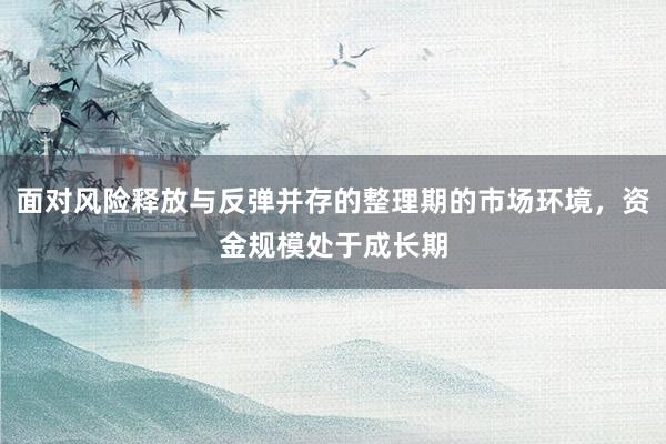 面对风险释放与反弹并存的整理期的市场环境，资金规模处于成长期