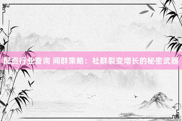 配资行业查询 间群策略：社群裂变增长的秘密武器