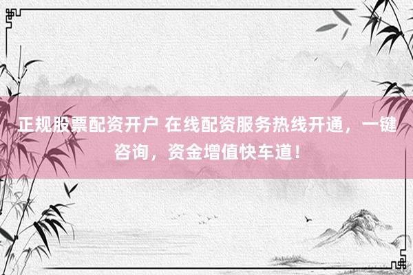 正规股票配资开户 在线配资服务热线开通，一键咨询，资金增值快车道！