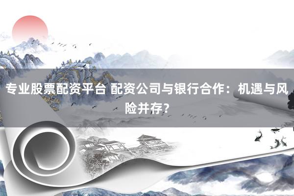 专业股票配资平台 配资公司与银行合作:机遇与风险并存?